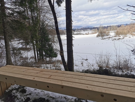 Pogled na zasneženo kočevsko pokrajino z leseno klopjo v ospredju.