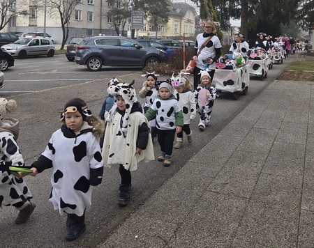 Maškare na sprevodu pred občinsko stavbo. 