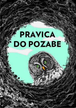 Grafika.