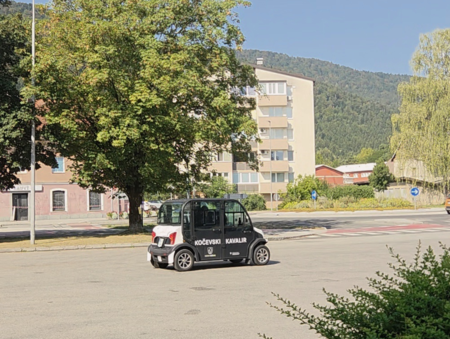 Kočevski kavalirček 'v pogonu'. 