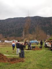 posadili_smo_nova_drevesa_2