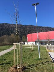 91898132_1102735753411028_5668616249509150720_n