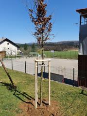 91535759_240649266986039_1260746727292403712_n