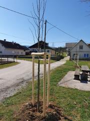 91574198_244348143412783_8623752992690012160_n