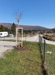 91719440_538121257119967_2449056988596797440_n