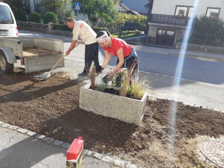 Urejanje cvetličnih korit