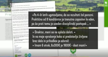 tarča