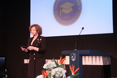 Povezovalka programa