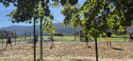 Koblarji skozi oči umetnosti in športa - odbojka na igrišču