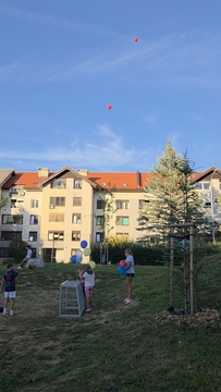 20260903_183115