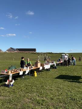 IMG-20260926-WA0006